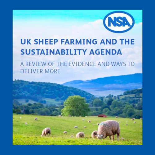 UK Sheep Farming and the Sustainability Agenda