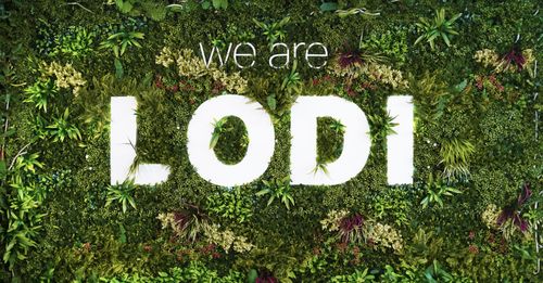 Lodi UK About Us