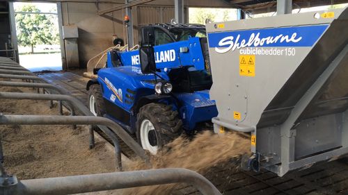 Shelbourne Reynolds - Cubicle Bedder