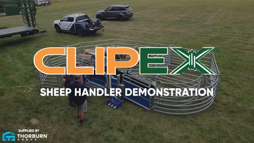 Discover Clipex Automatic Sheep Handler