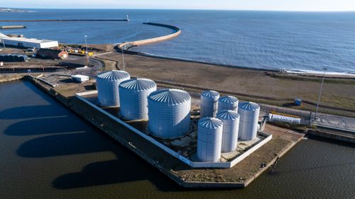 Nitrasol  x  P.X. Farms Ltd