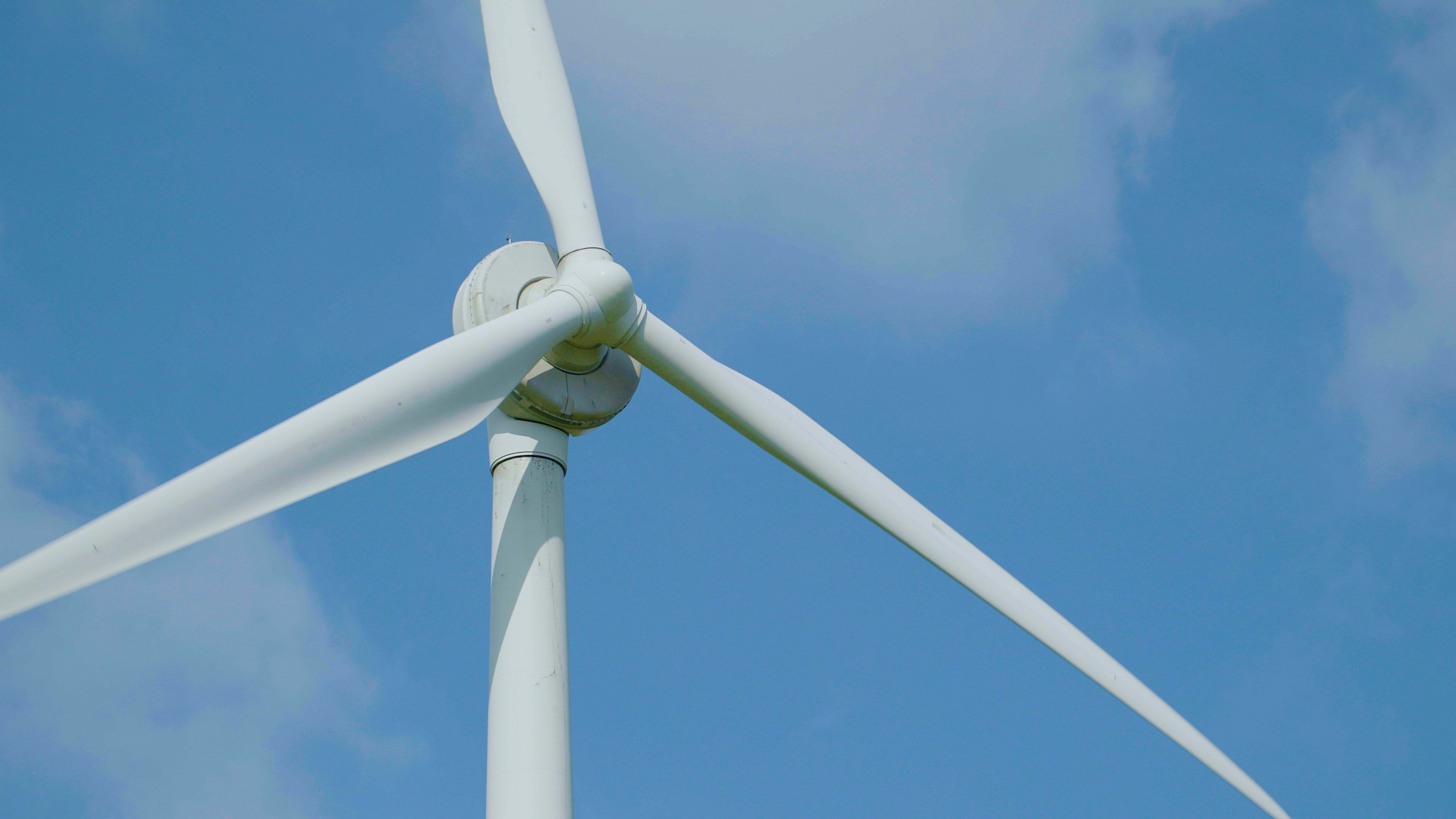 Octopus Fan Club | Discounted electricity