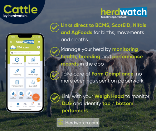 Cattle by Herdwatch