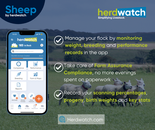 Sheep by Herdwatch