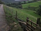 R8/80/22 The “Ultimate Livestock Fence” Countryside Stewardship Approved