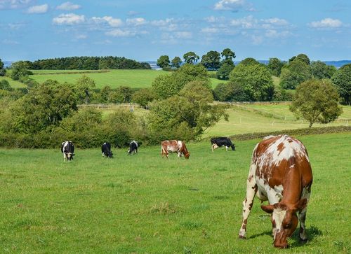 Agricultural Compliance