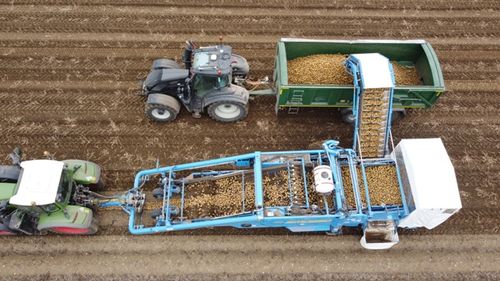Standen T2XS Trailed Potato Harvester