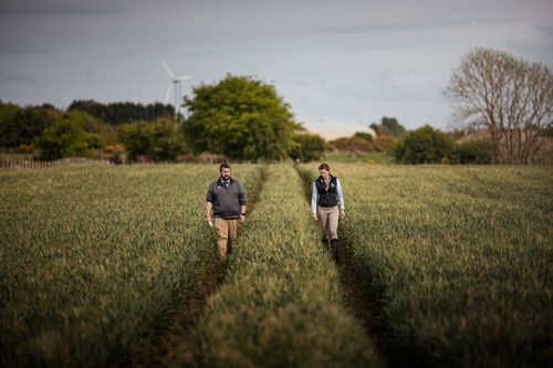 Yara Nitrate Fertilisers