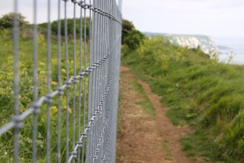 X fence wire netting