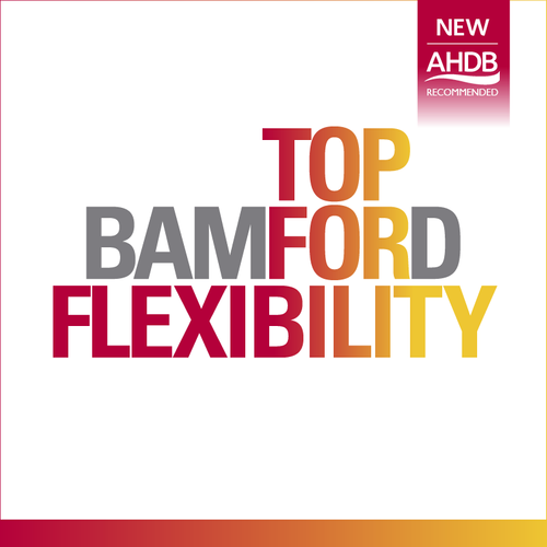 Bamford