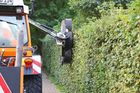 Scorpion 430 PLUS Basic Front Hedge Cutter