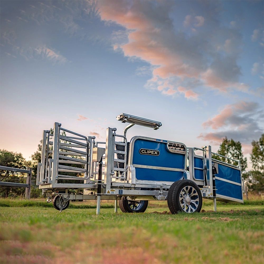 Clipex Automatic Sheep Handler