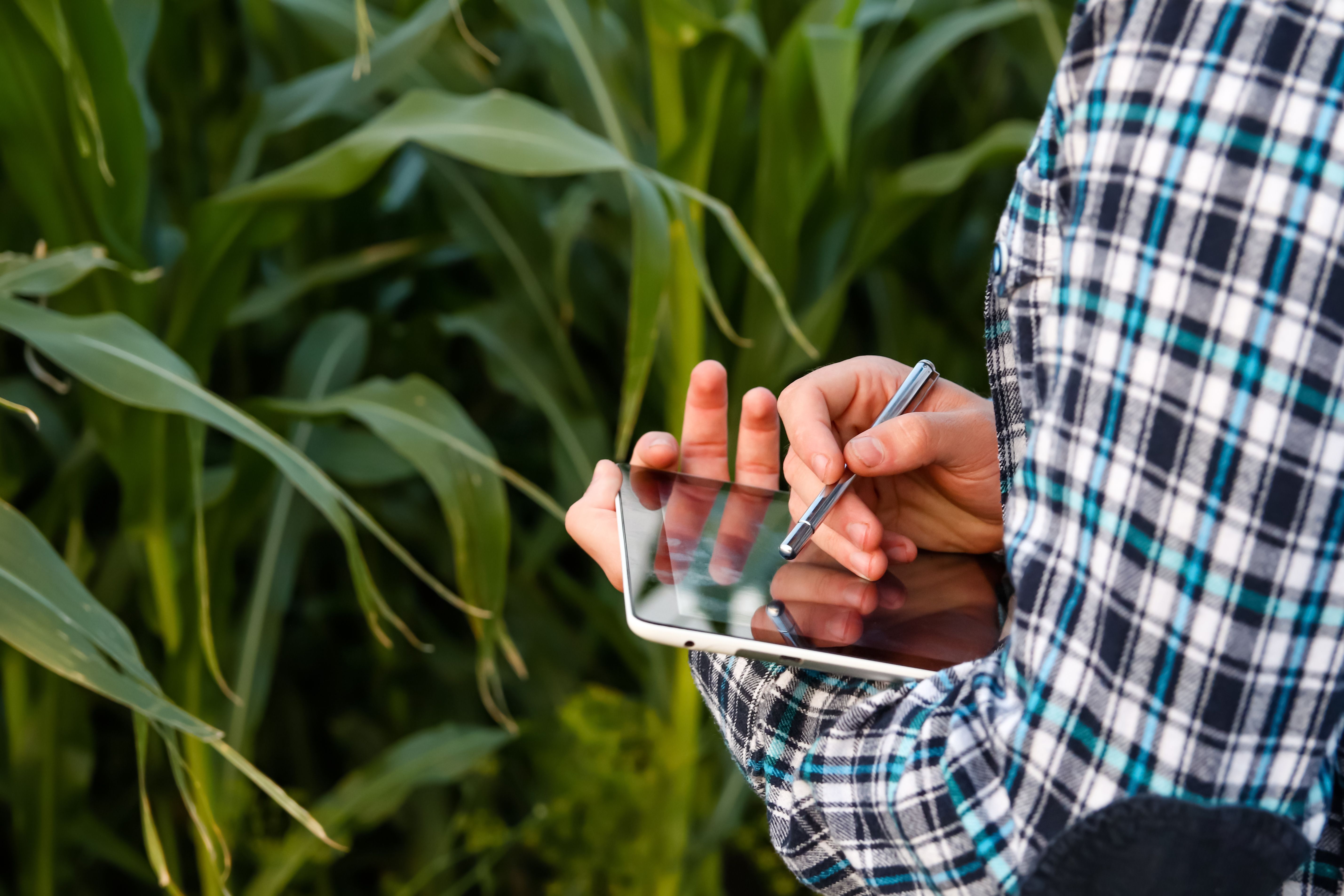 Healthy Living and Agriculture Review 2025 – A focus on AgriFood Systems