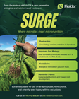 Surge Seed Treatment