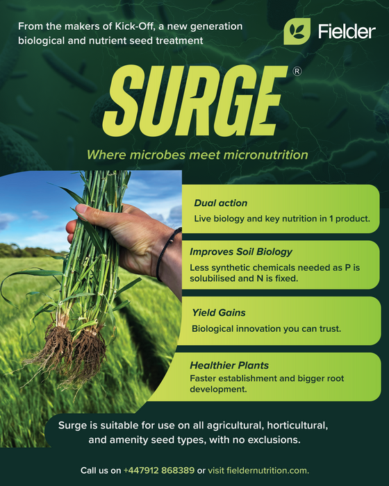 Surge Seed Treatment