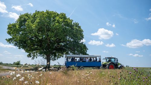 Soil Capital's Regenerative Agriculture Programme
