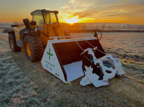 CowRecovery