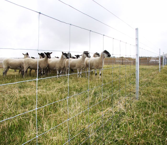 Clipex all-steel fencing system