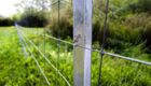 Clipex all-steel fencing system