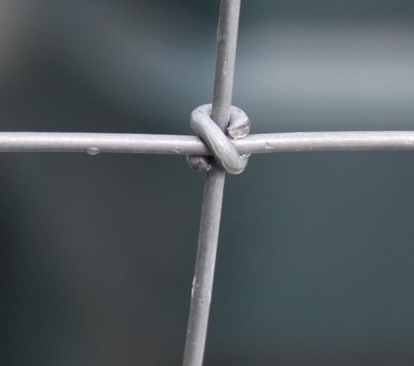 Xfence Premium Wire Netting