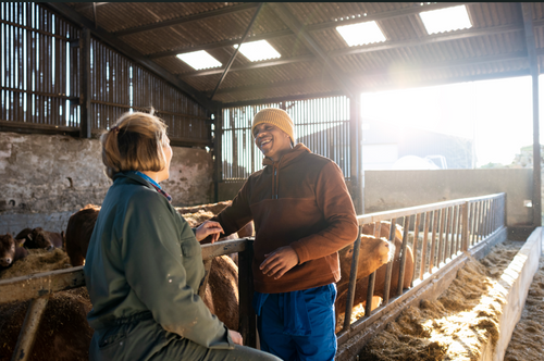 Investing in agricultural innovations and sustainable crop production