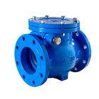 Swing Check Valves