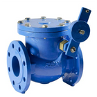Swing Check Valves
