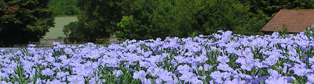 Cefetra Ltd / Premium Crops