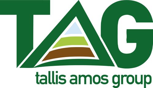Tallis Amos Group Ltd
