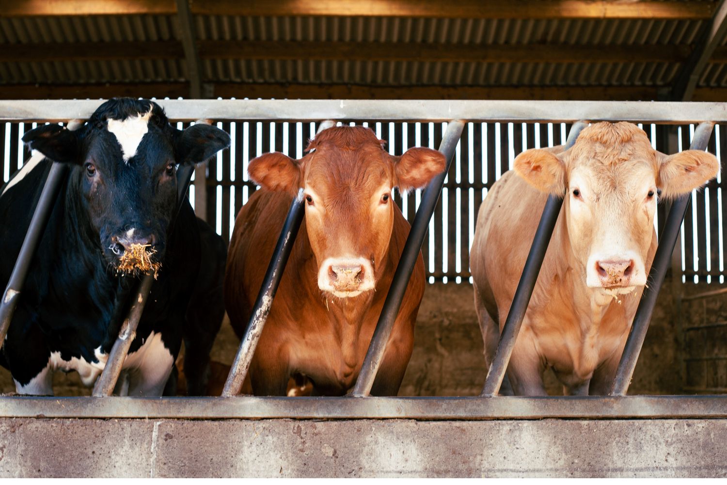 Home n' Dry by Dugdale Nutrition