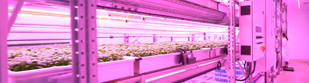 UK Agri-Tech Centre/Innovate UK