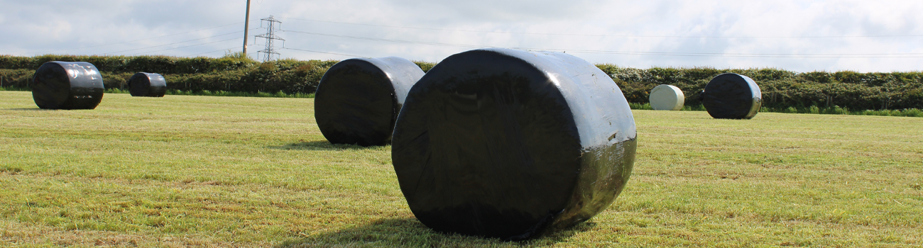 Berry Global (Silotite)