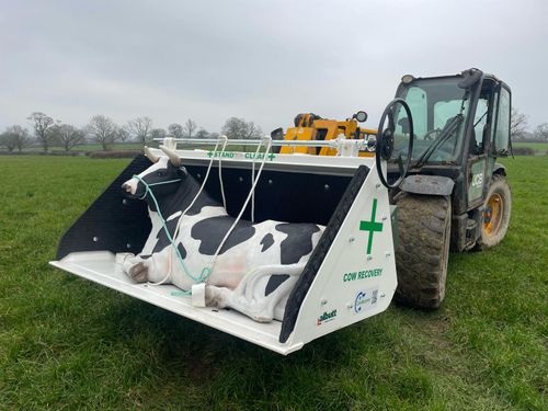 CowRecovery