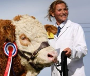 Sam Evans - Wroxall Simmentals