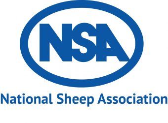 nsa logo