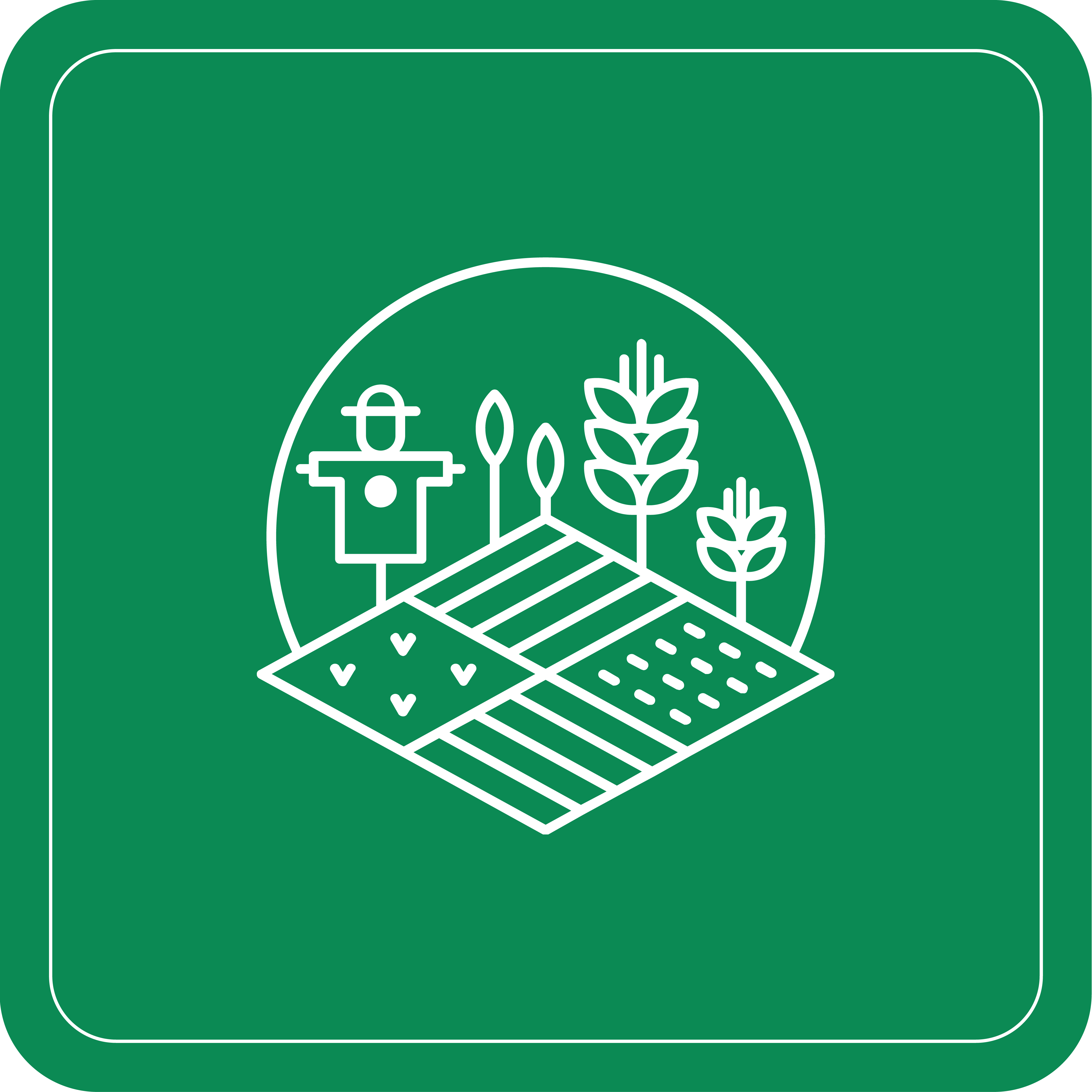 future in farming