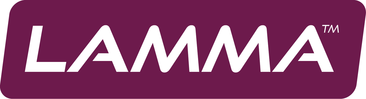 Primary Logo