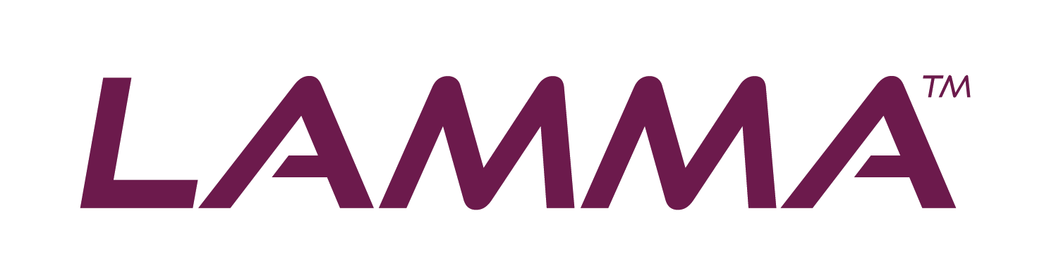 Secondary logo