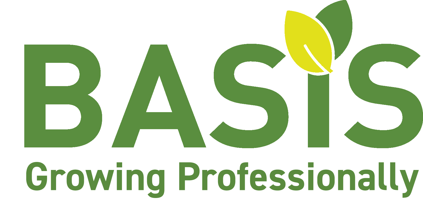 Basis logo