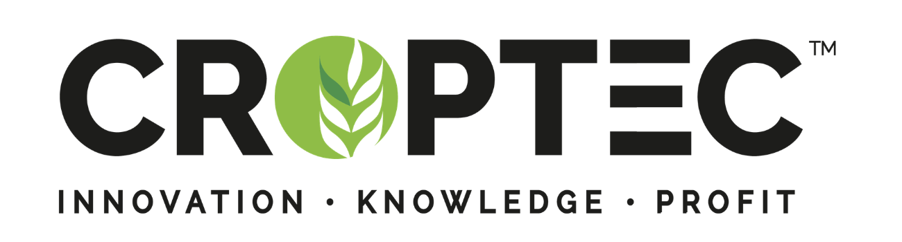 Primary Logo
