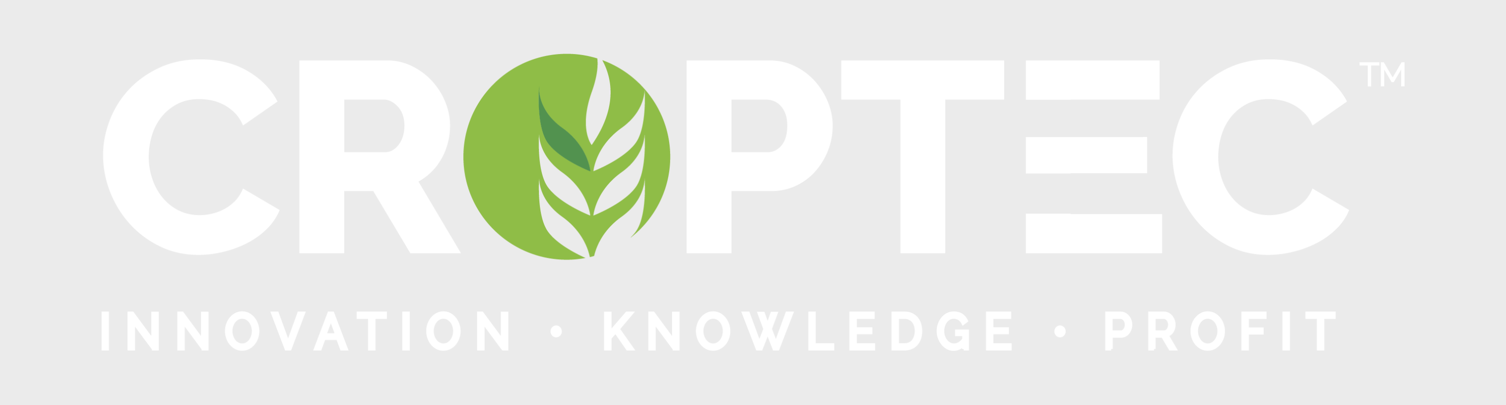 Secondary logo