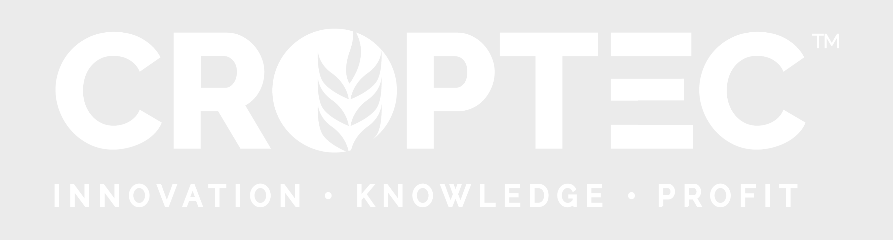 Secondary logo