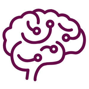 brain