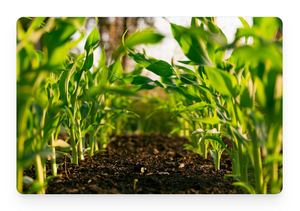 Proven Across Agricultural Applications