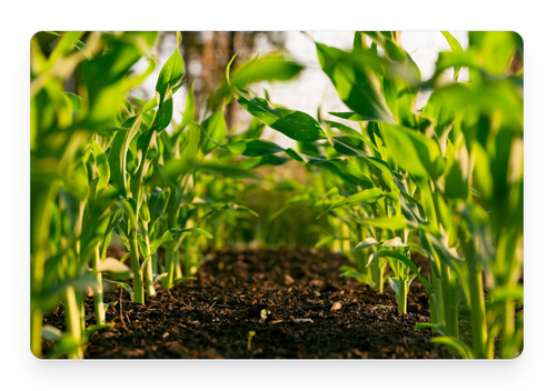 Proven Across Agricultural Applications
