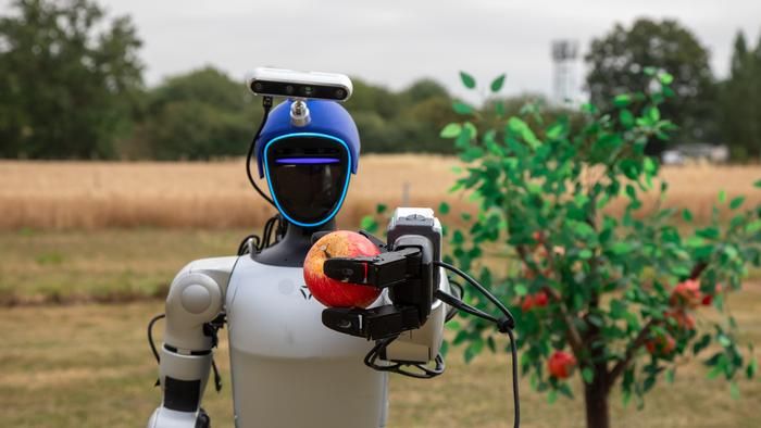 Humanoid robots ‘next stage’ in future of farming, Professor tells BBC