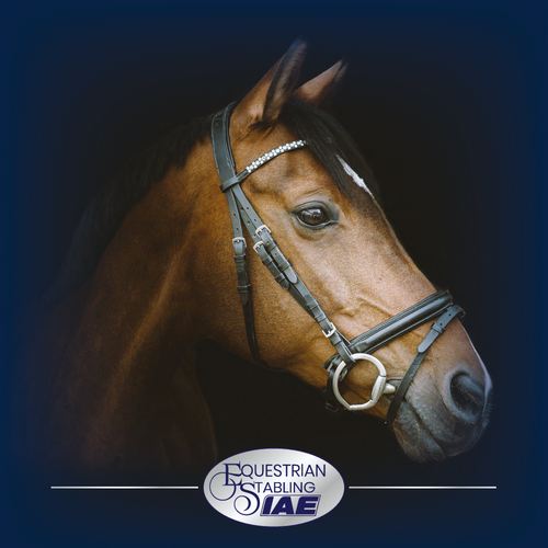 Equestrian Brochure