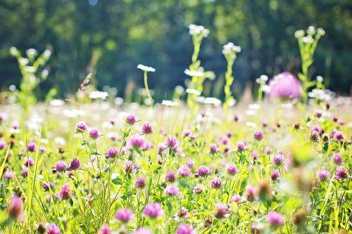 Stewardship & Grants