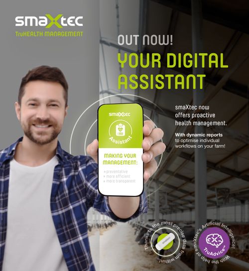 Digital Assistant: Your new team member on the farm