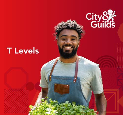 T Levels